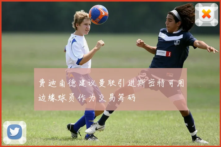 费迪南德建议曼联引进斯密特可用边缘球员作为交易筹码